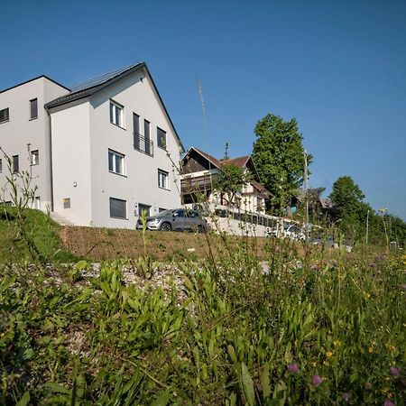 Vila Vernig 布莱德 外观 照片